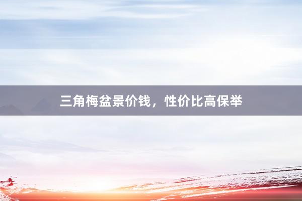 三角梅盆景价钱，性价比高保举