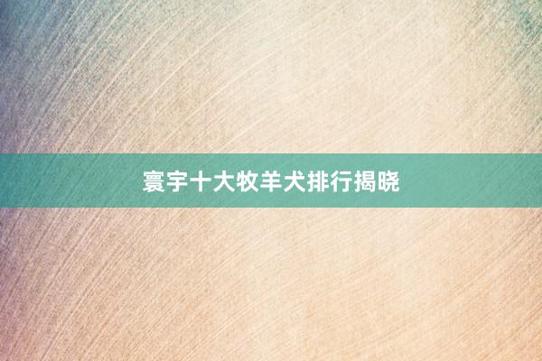 寰宇十大牧羊犬排行揭晓